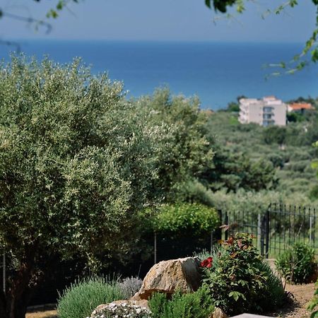 Villa Aiolos Αλεξανδρούπολη Εξωτερικό φωτογραφία