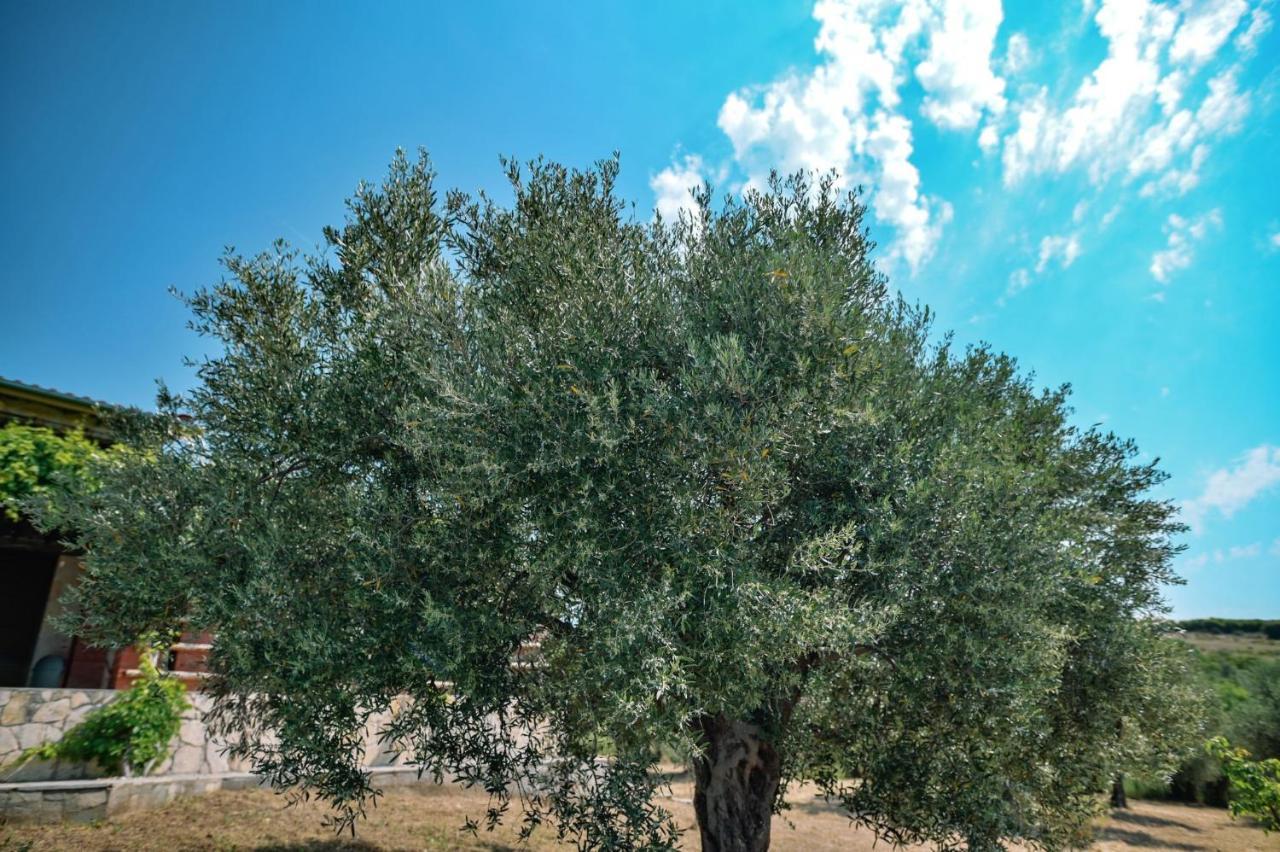 Villa Aiolos Αλεξανδρούπολη Εξωτερικό φωτογραφία